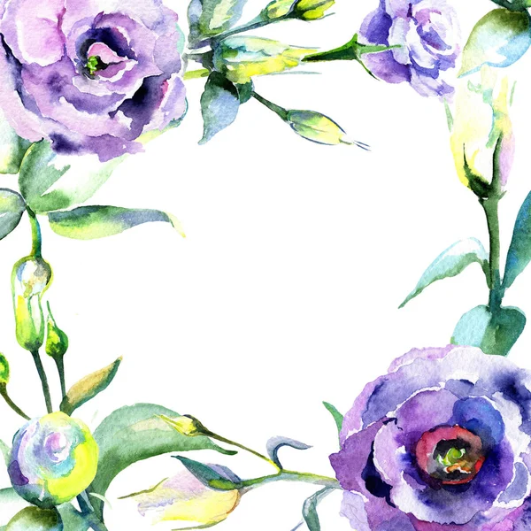 Kır çiçeği eustoma çiçek çerçeve suluboya tarzında.