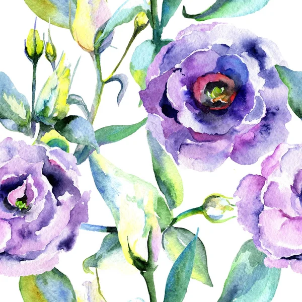 Kır çiçeği eustoma çiçek deseni suluboya tarzında.