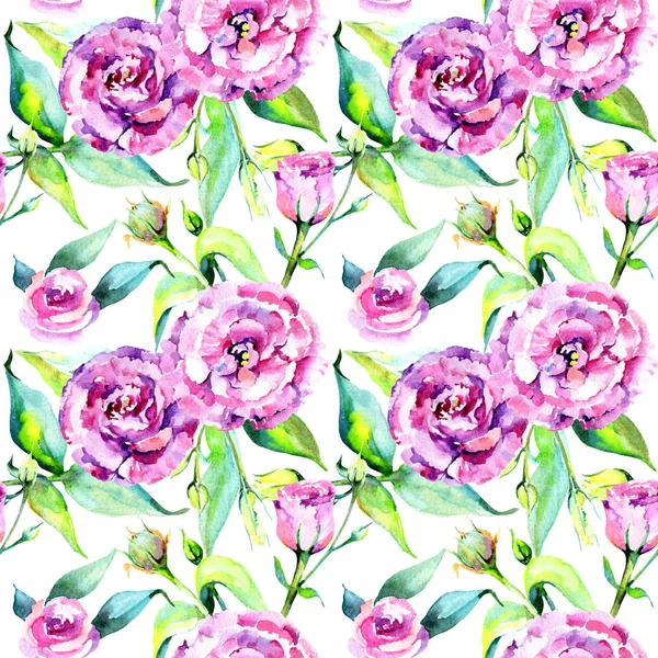 Kır çiçeği eustoma çiçek deseni suluboya tarzında.