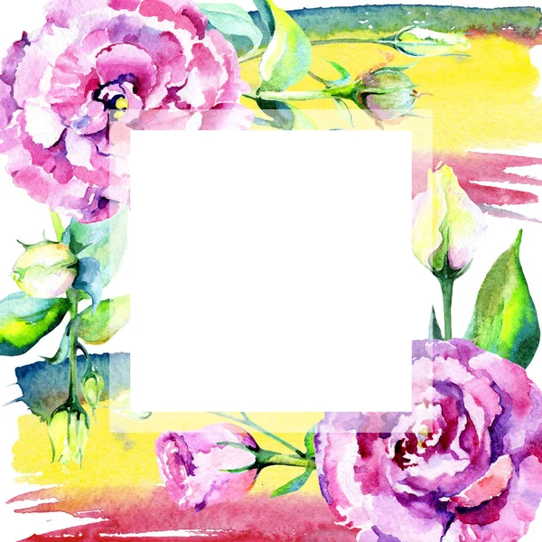 Wildflower eustoma bloem frame in een aquarel stijl. — Stockfoto