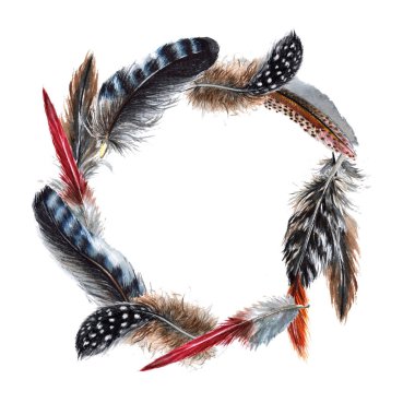 Suluboya kuş tüyü çelenk Wing.