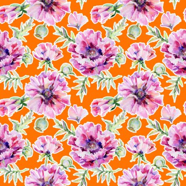 Kır çiçeği haşhaş çiçek deseni suluboya tarzında.