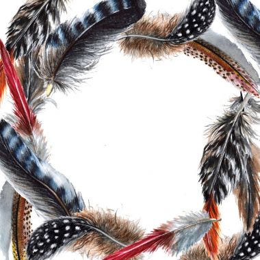 Suluboya kuş kanat tüy çerçevesinden.