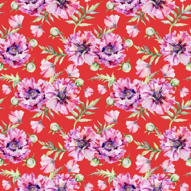 Kır çiçeği haşhaş çiçek deseni suluboya tarzında.