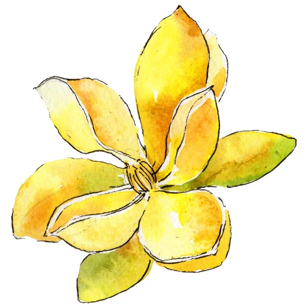 Kır çiçeği gardenya çiçek izole bir suluboya tarzında.