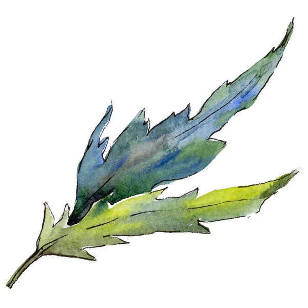 Wildflower leaf vallmo blomma i akvarell stil isolerade. — Stockfoto