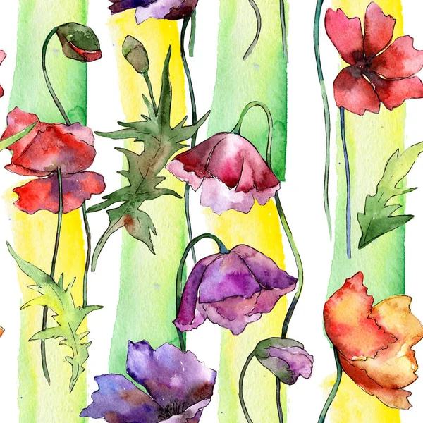 Wildflower máku květinový vzor ve stylu akvarelu. — Stock fotografie