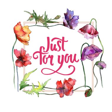 Kır çiçeği haşhaş çiçek çerçeve suluboya tarzında.