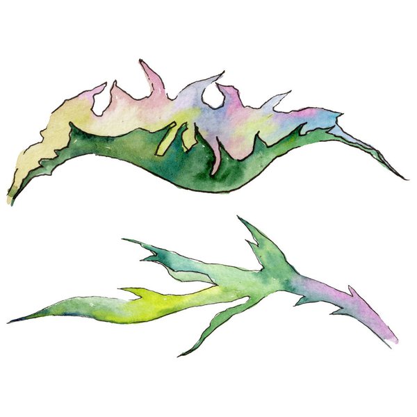 Wildflower thistle flower in a watercolor style isolated.