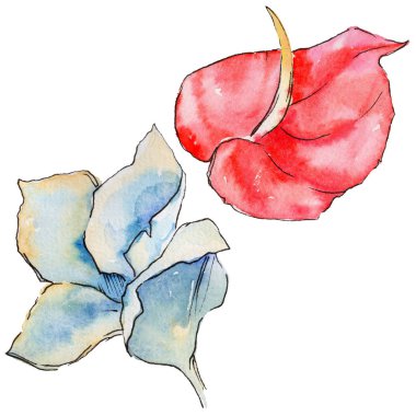 Bir suluboya tarzında izole tropikal bitki yaprakları.