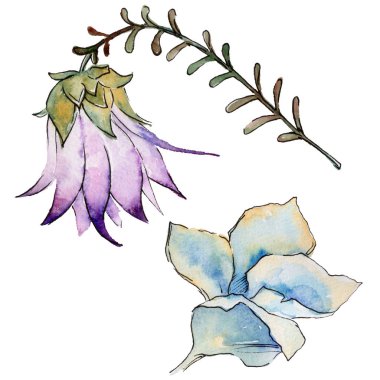 Bir suluboya tarzında izole tropikal bitki yaprakları.