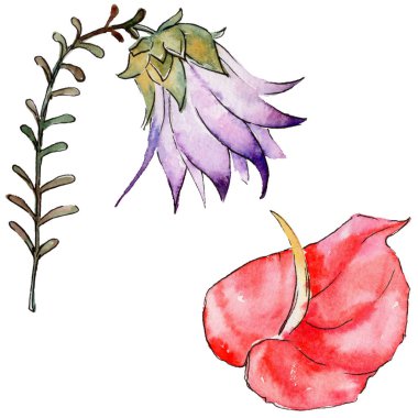 Bir suluboya tarzında izole tropikal bitki yaprakları.