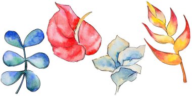 Bir suluboya tarzında izole tropikal bitki yaprakları.