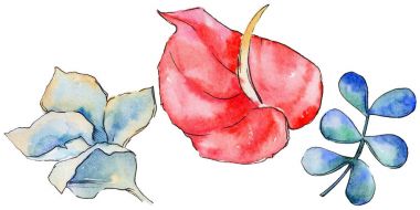 Bir suluboya tarzında izole tropikal bitki yaprakları.