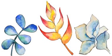 Bir suluboya tarzında izole tropikal bitki yaprakları.