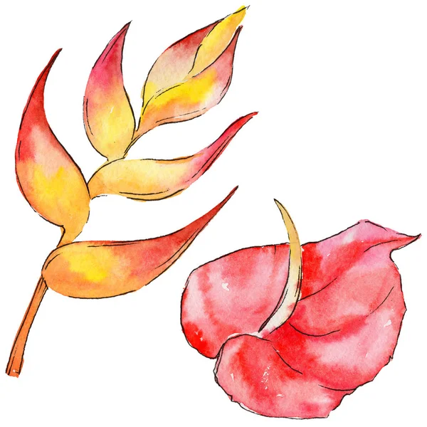 Bir suluboya tarzında izole tropikal bitki yaprakları.