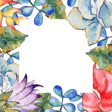 Tropikal bitki çerçeve bir suluboya tarzında bırakır..