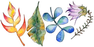 Bir suluboya tarzında izole tropikal bitki yaprakları.