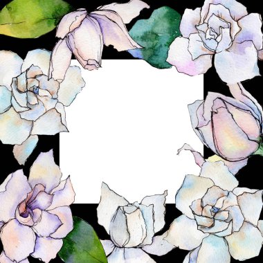 Kır çiçeği gerbera çiçek çerçeve suluboya tarzında.