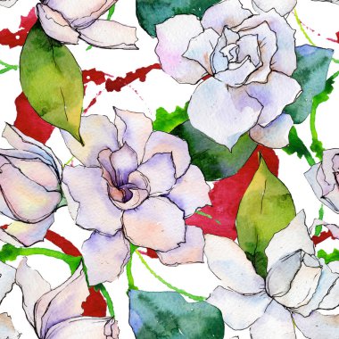 Kır çiçeği gerbera çiçek deseni suluboya tarzında.