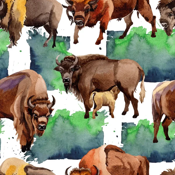 Exotische Bison-Wildtiermuster im Aquarell-Stil. — Stockfoto