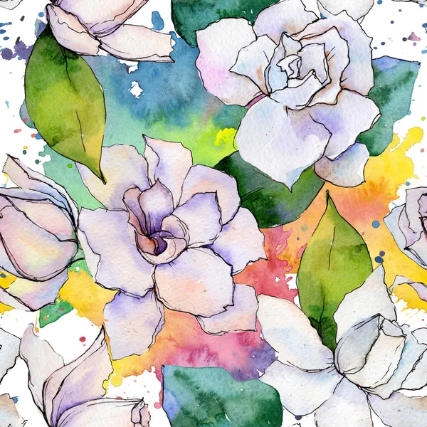 Fleur sauvage gerbera motif de fleurs dans un style aquarelle . — Photo