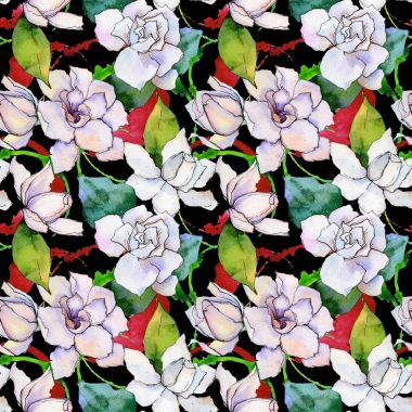 Kır çiçeği gerbera çiçek deseni suluboya tarzında.