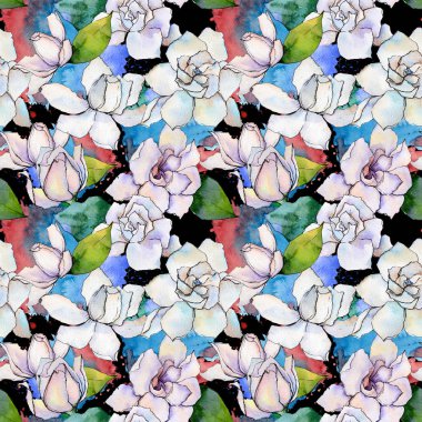 Kır çiçeği gerbera çiçek deseni suluboya tarzında.