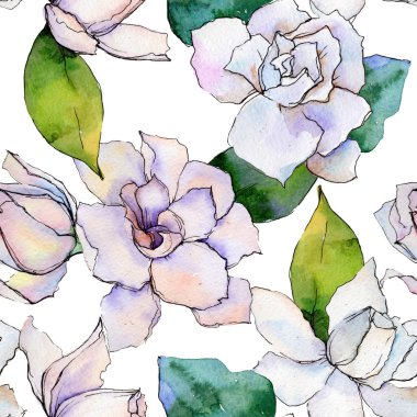 Kır çiçeği gerbera çiçek deseni suluboya tarzında.