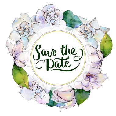 Kır çiçeği gerbera çiçek çerçeve suluboya tarzında.