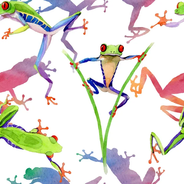 수채화 스타일에 이국적인 개구리 뼈아픈 패턴. — 스톡 사진