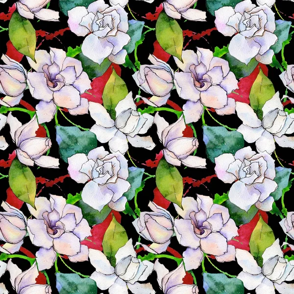 水彩画のワイルドフラワー ガーベラの花のパターン. — ストック写真