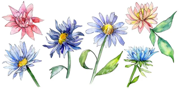Wildflower kytička ve stylu akvarelu, samostatný. — Stock fotografie