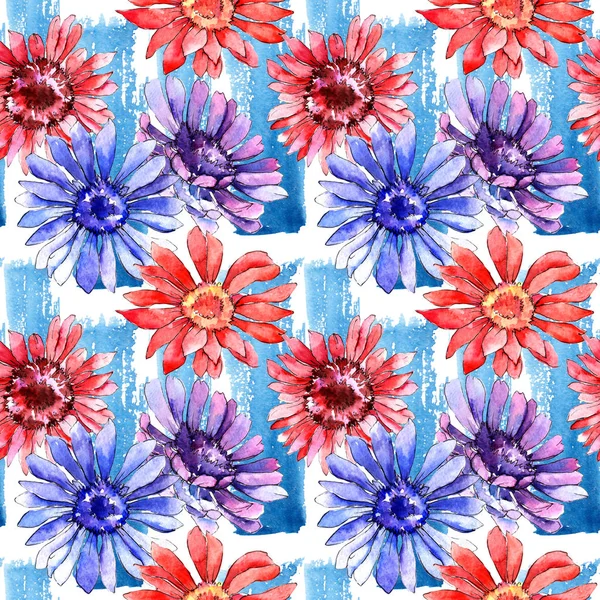 Wildflower gerbera flower pattern in a watercolor style. — Stock Photo, Image