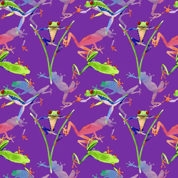 Exotic frog red-eyed pattern in a watercolor style. — Stock Photo, Image