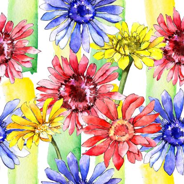 Kır çiçeği gerbera çiçek deseni suluboya tarzında.