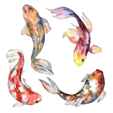 Egzotik süs balığı vahşi balık izole bir suluboya tarzında.