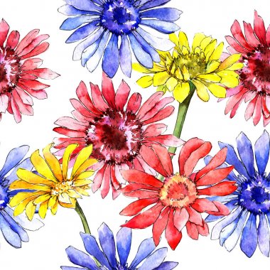 Kır çiçeği gerbera çiçek deseni suluboya tarzında.