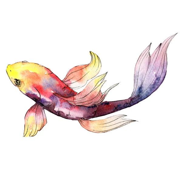 Exotickou rybku volně žijících ryb ve stylu akvarelu, samostatný. — Stock fotografie