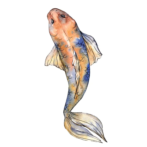 Poisson rouge exotique poisson sauvage dans un style aquarelle isolé . — Photo