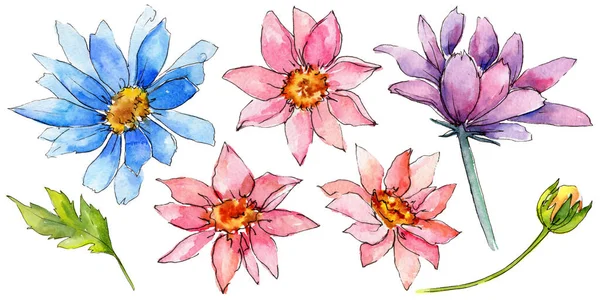 Fiore di girasole fiore in stile acquerello isolato . — Foto Stock