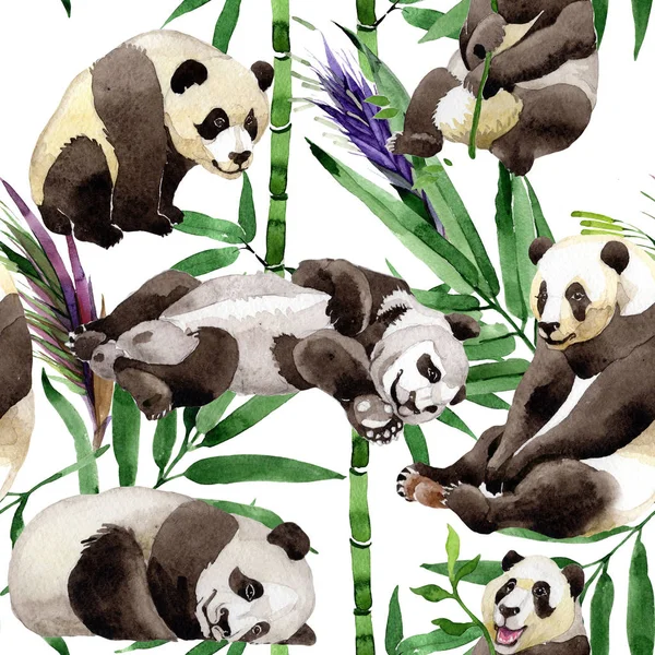 Mix tropikalny bambus drzewa i panda wzór w stylu przypominającym akwarele. — Zdjęcie stockowe
