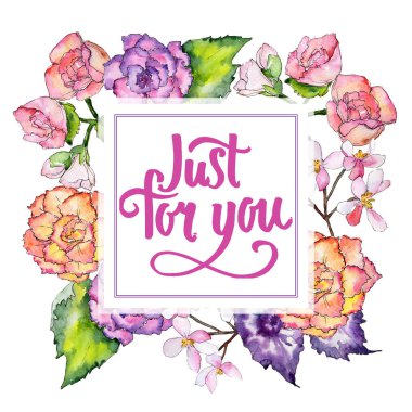 Kır çiçeği begonia çiçek çerçeve suluboya tarzında.