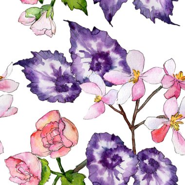 Kır çiçeği begonia çiçek deseni suluboya tarzında.