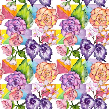 Kır çiçeği begonia çiçek deseni suluboya tarzında.