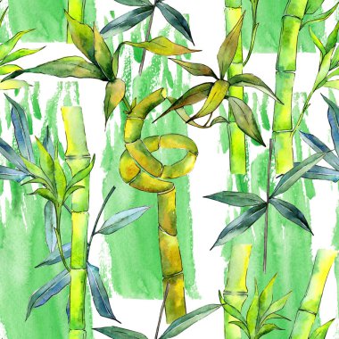 Tropikal bambu ağacı desen suluboya tarzında.