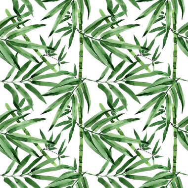 Tropikal yaprak bambu ağacı desen suluboya tarzında.