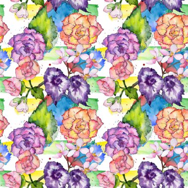 Kır çiçeği begonia çiçek deseni suluboya tarzında.