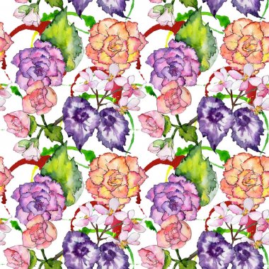 Kır çiçeği begonia çiçek deseni suluboya tarzında.