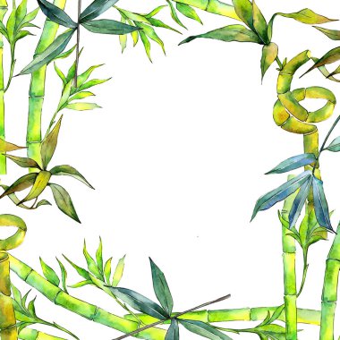 Tropikal bambu ağacı çerçeve suluboya tarzında.